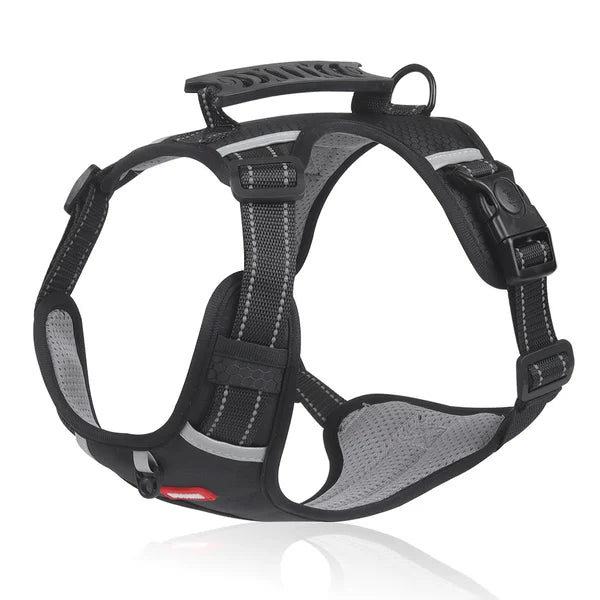 RoligTrin™ Hundesele | Mere kontrol og komfort på hver gåtur